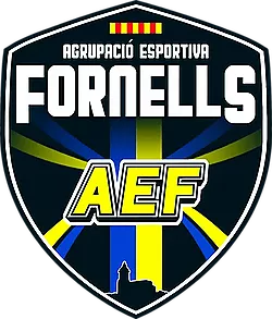 HANDBOL FORNELLS